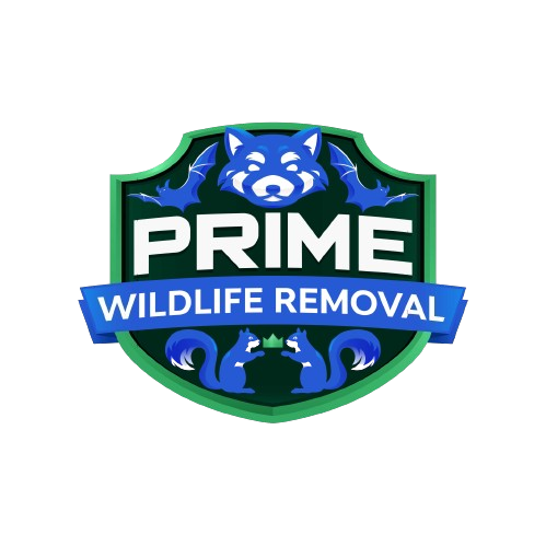 Wildlife Removal Indiana